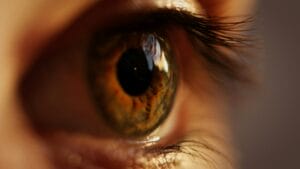 2026 Anti-Aging Revolution: Retinal vs Peptides vs Bakuchiol