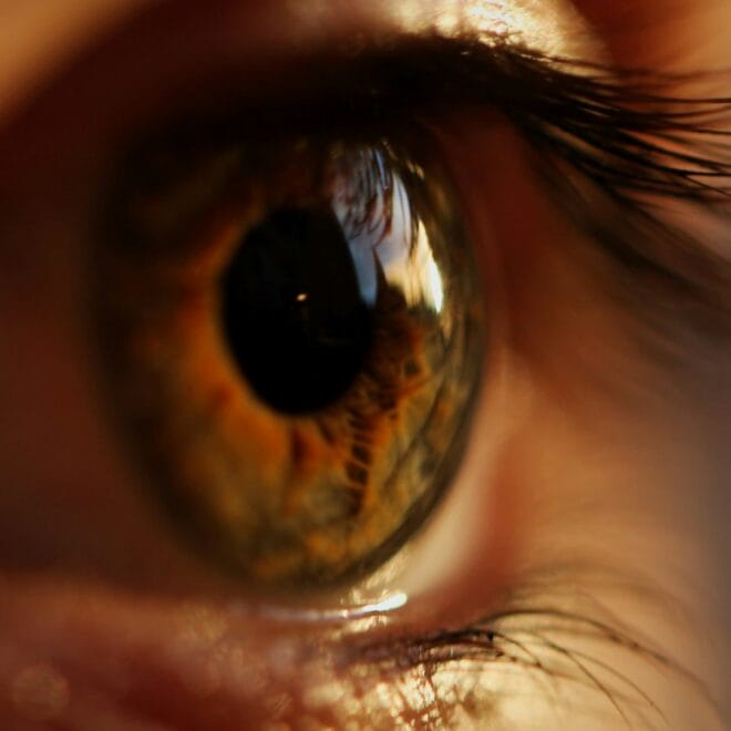 2026 Anti-Aging Revolution: Retinal vs Peptides vs Bakuchiol