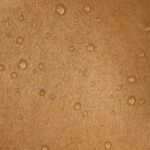 Bakuchiol vs Granactive Retinoid: Best Retinol Alternative for Sensitive Skin