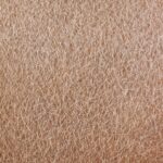 Bakuchiol vs Retinal: Best Retinol Alternative for Sensitive Skin 2026