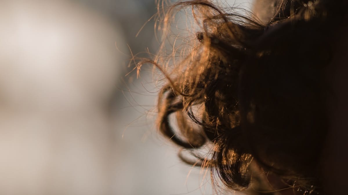 humidity-proof hair