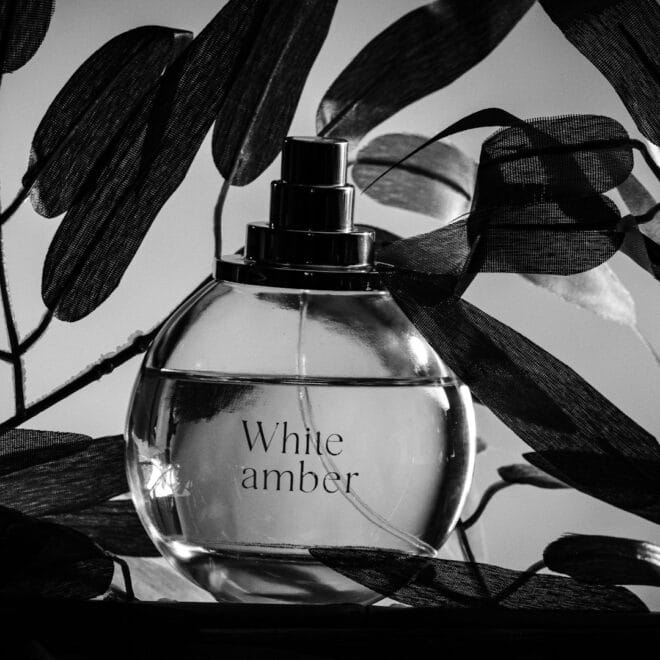 Best Luxury Summer Fragrances for Women 2026: Scent Guide and Prices