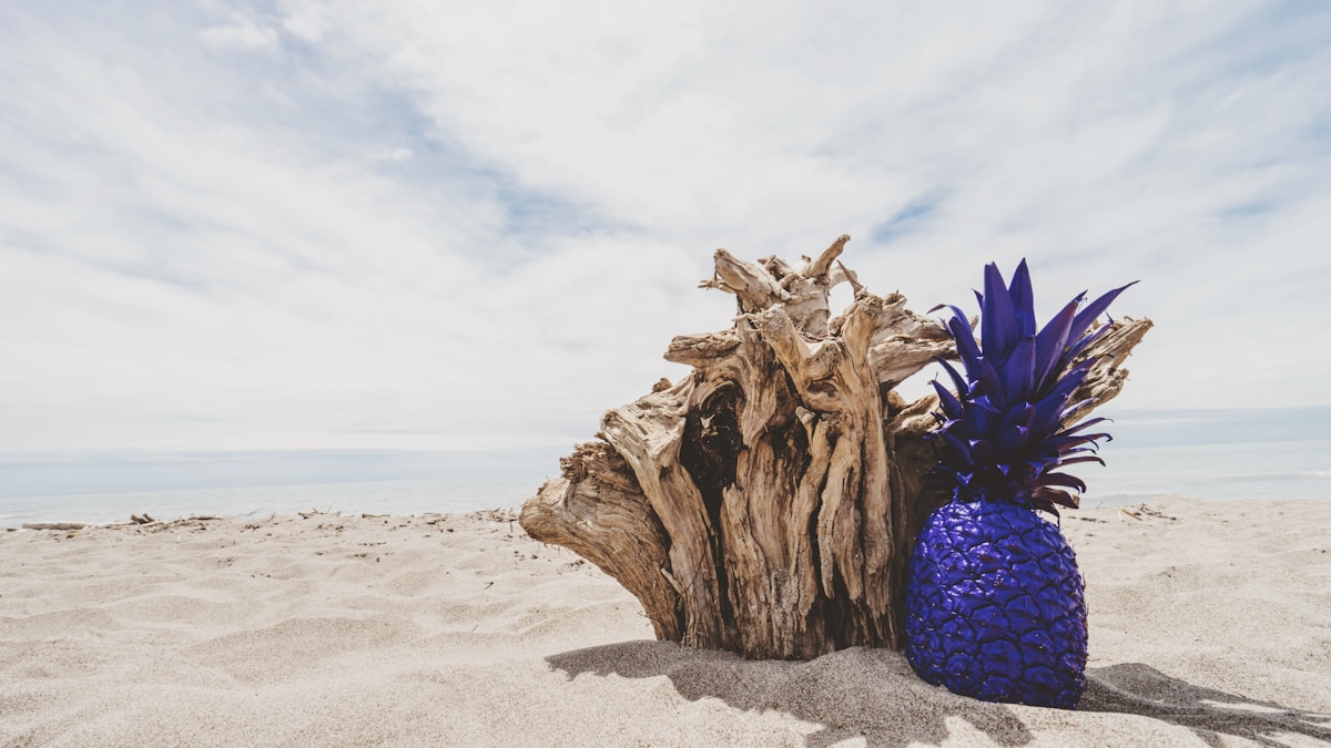 long-lasting summer fragrances