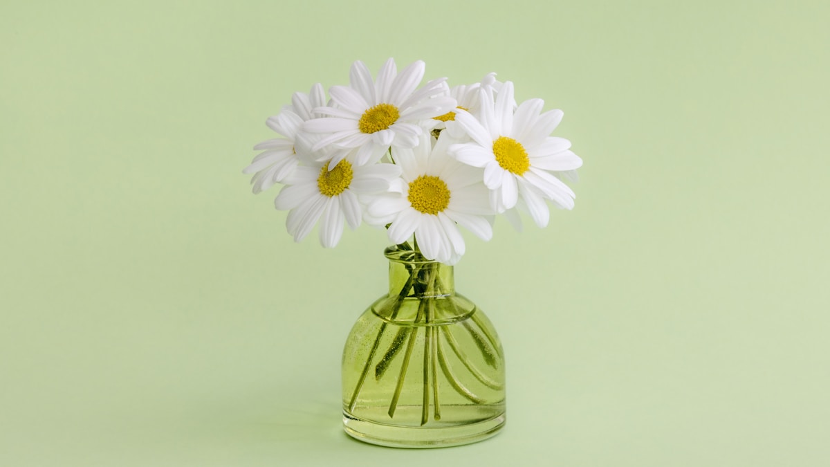 summer fragrances under $50