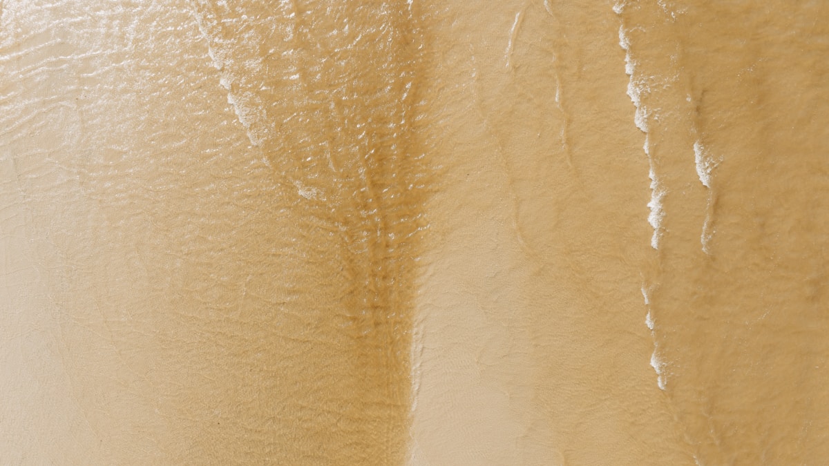 sunscreens for oily skin 2026