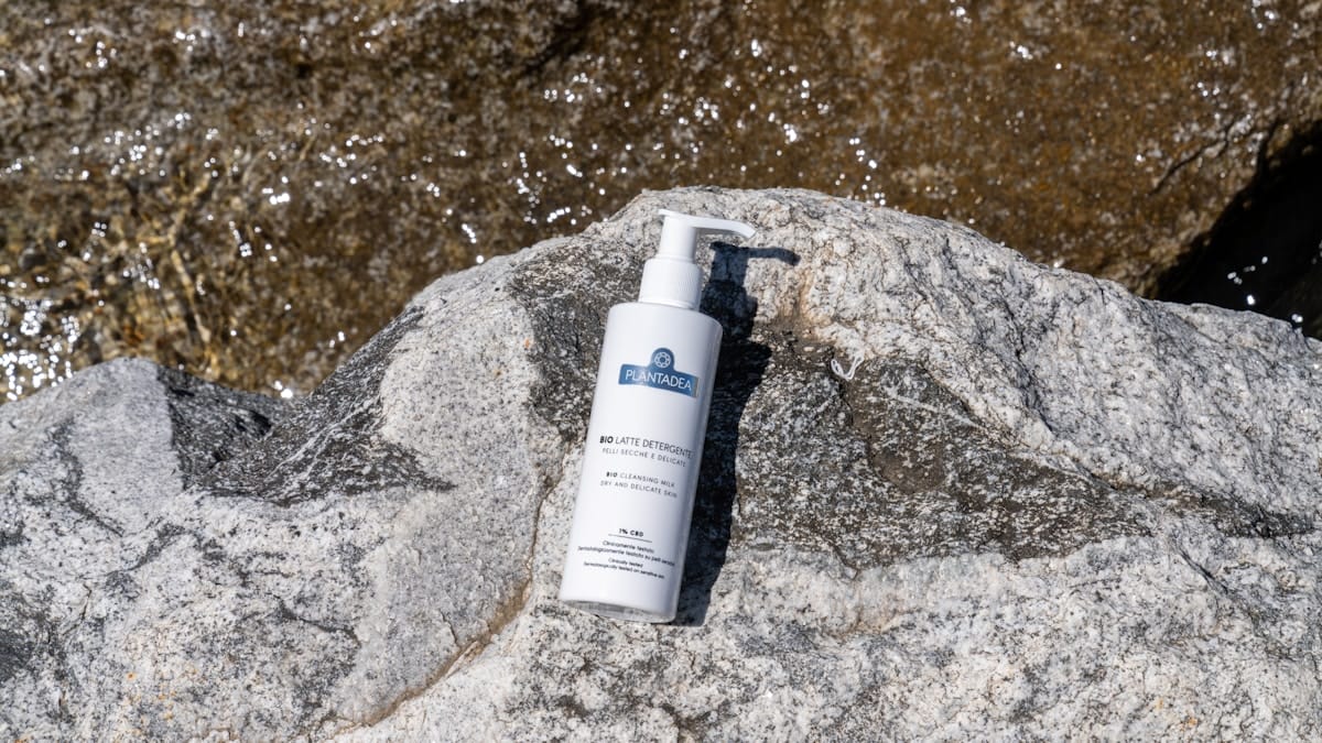 oily skin routine 2026 - oily skin routine