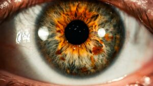 Retinal vs Bakuchiol 2026: Which Anti-Aging Ingredient Wins?
