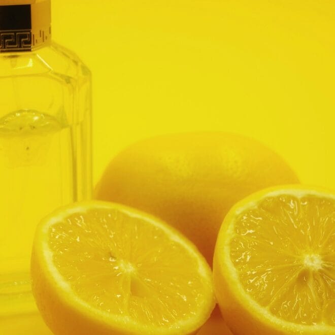 long lasting scents – Summer 2026 Perfume Trends: Long-Lasting Fresh Scents