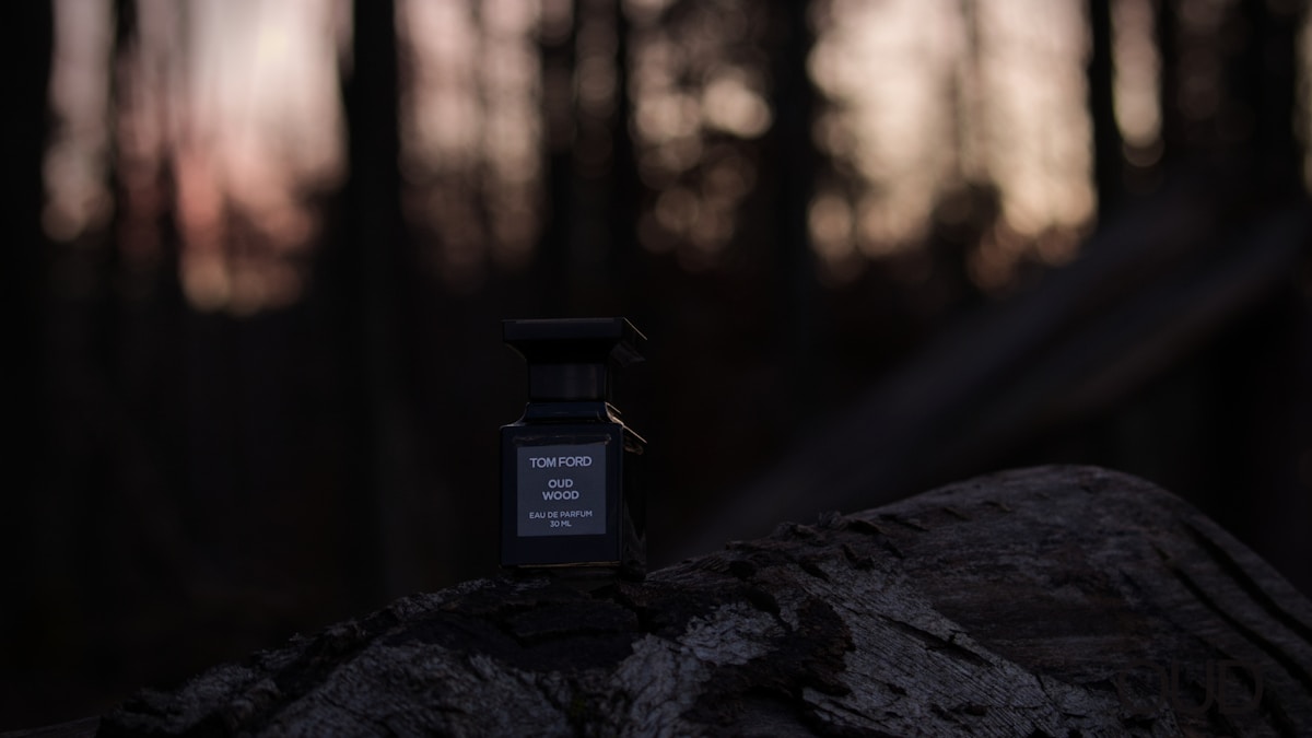 summer fragrances 2026
