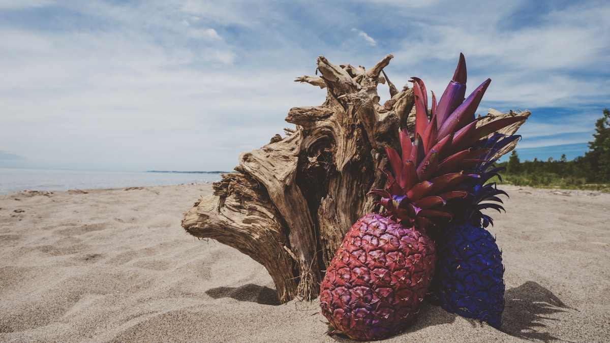 luxury summer fragrances under $200
