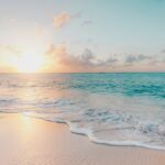 Top 10 Summer Niche Fragrances Under $200: 2026 Guide