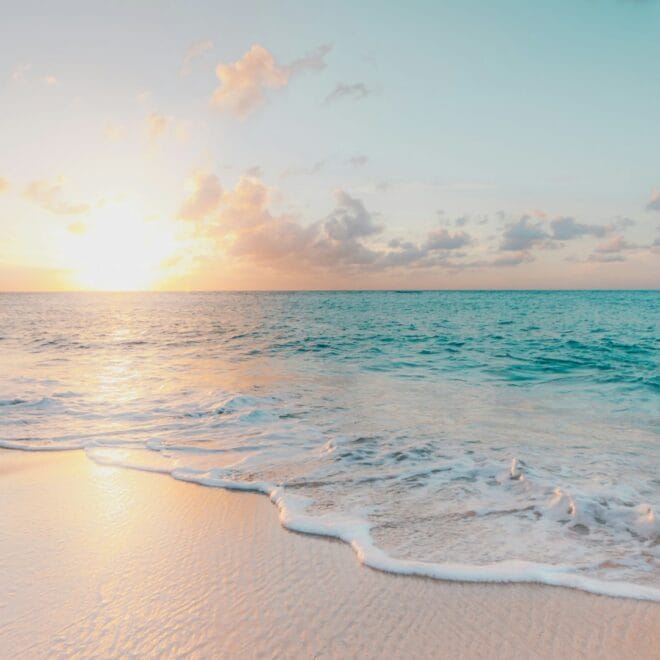 Niche vs Designer Summer Scents: Which Lasts Longer in 2026?
