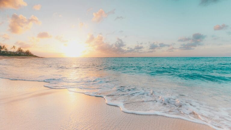 Top 10 Summer Niche Fragrances Under $200: 2026 Guide