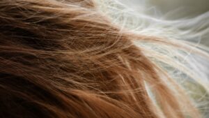 Ultimate Summer Haircare Routine for Dry Hair: 2026 Guide