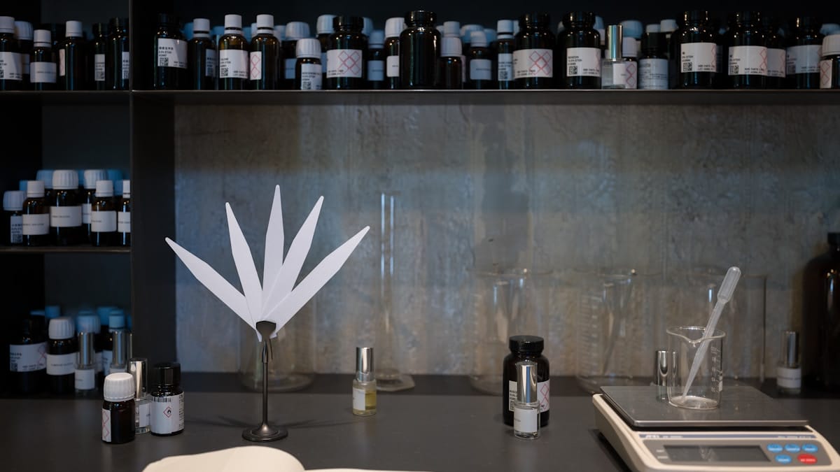 niche perfumes