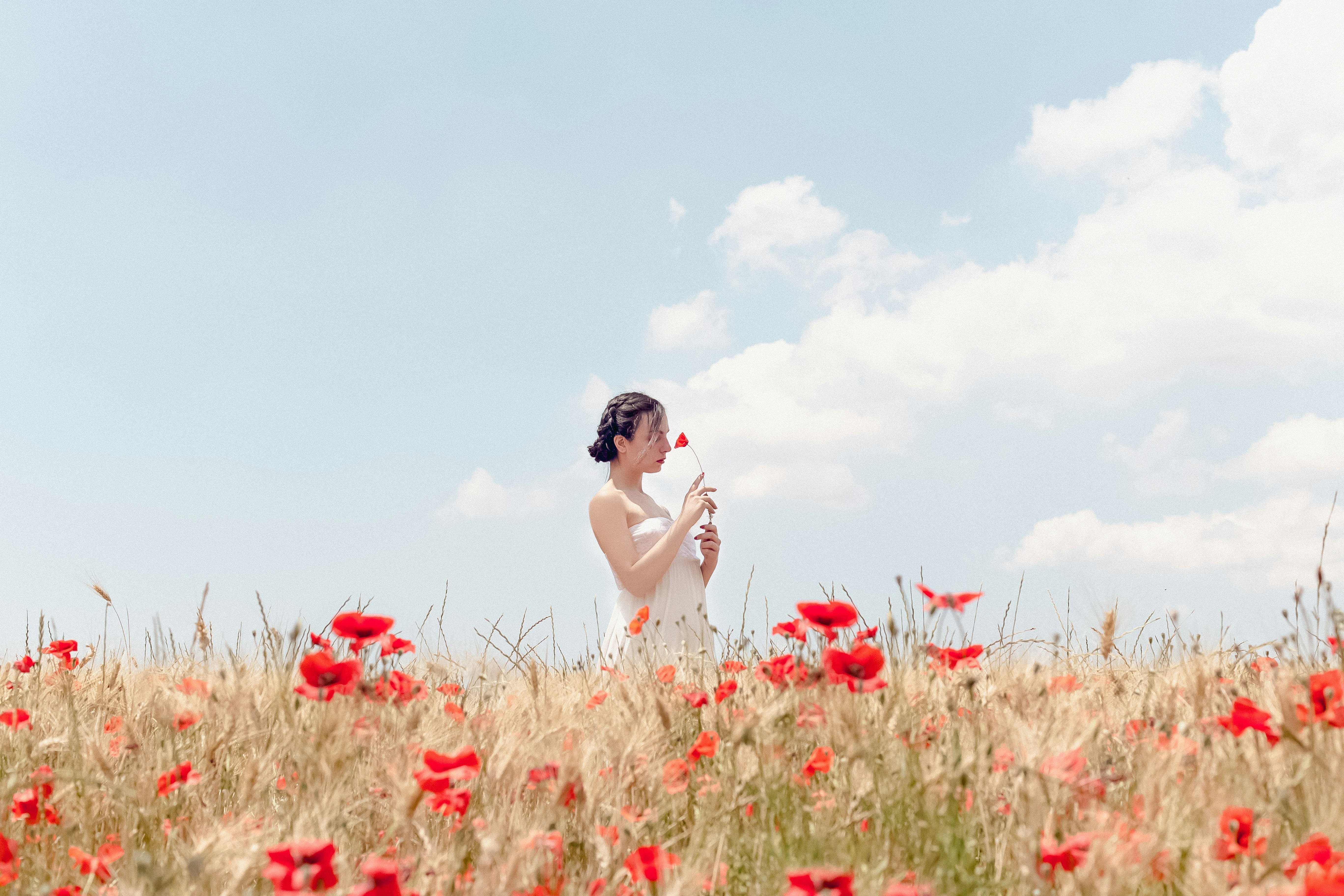 Clean Perfume Brands 2026: Top Nontoxic Scents for Summer 3 clean perfume brands 2026