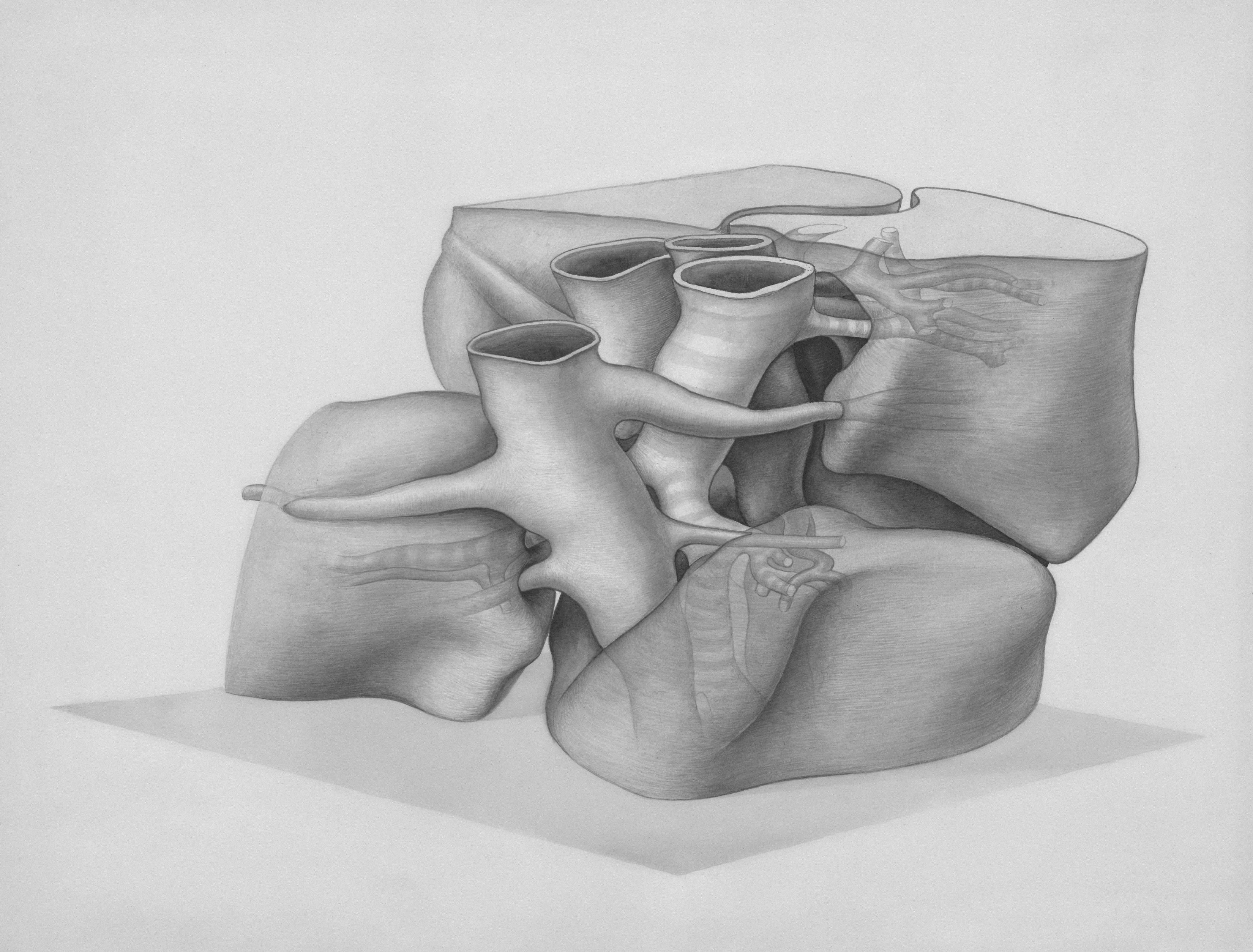 Hannah Berner's Masseter Injection Mishap: Lessons for Patients 2 masseter injection mishap