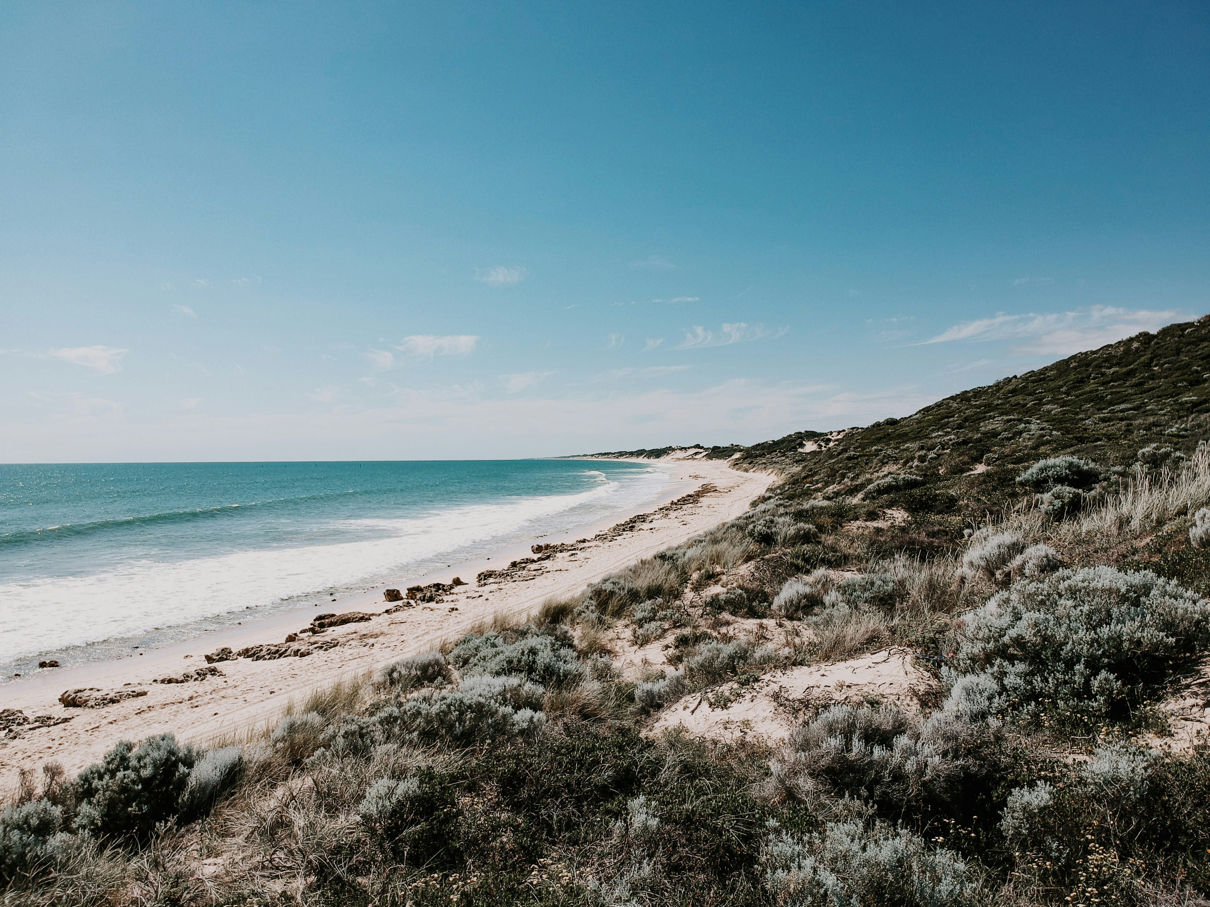 Reef-Safe Sunscreens 2026: Protect Your Skin and Hawaii's Coral 2 reef-safe sunscreens 2026